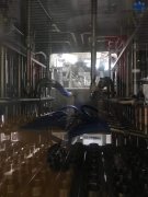 乐鱼体育全站官网:错误化恶搞之家对峙游戏